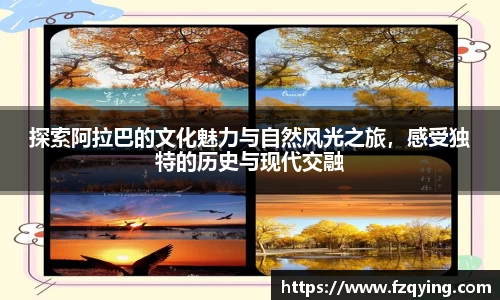 DB旗舰APP